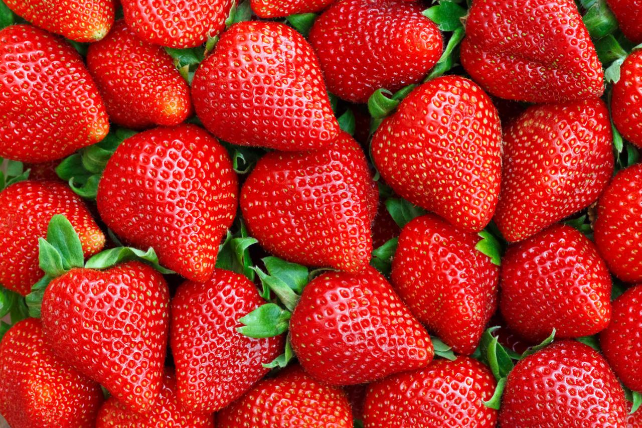 Täglicher Verkauf feldfrischer Erdbeeren